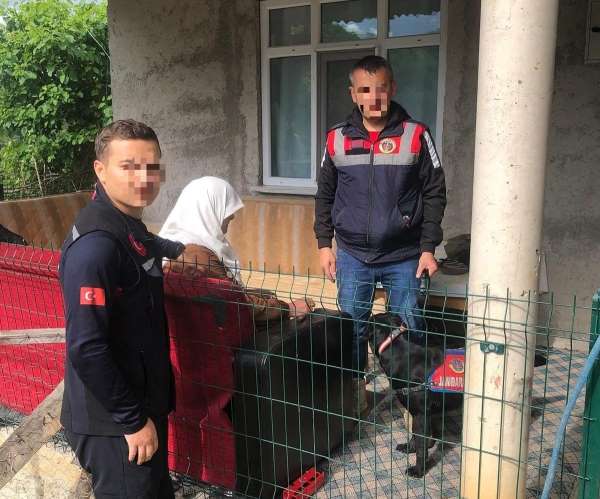 Ordu'da kayıp ihbarı olan kadın sağ olarak bulundu