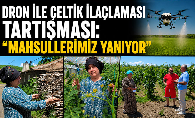 'Dron ile çeltik ilaçlaması' tartışması: 'Mahsullerimiz yanıyor'