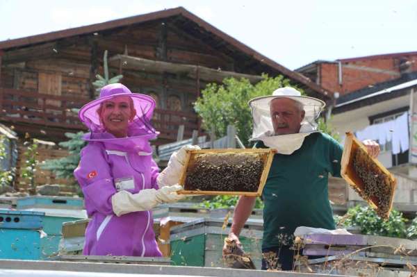 Dünyaca ünlü Anzer balında referans kovanlarında sağım gerçekleşti