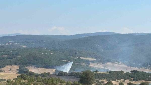 Bilecik'te ormanlık alandaki yangın kontrol altına alındı