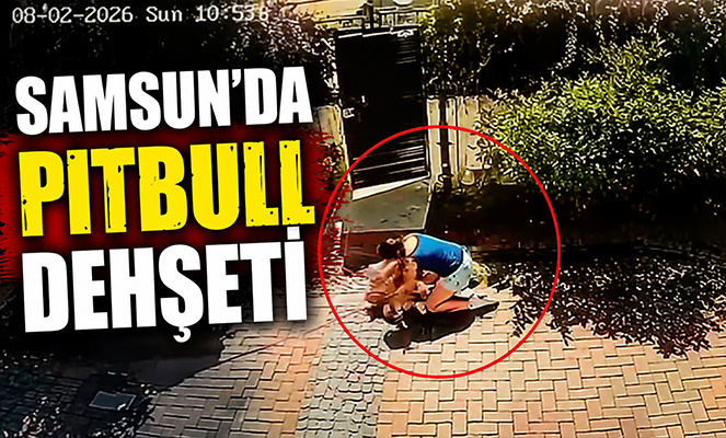 Samsun'da pitbull dehşeti: Küçük kızı yere savurdu, köpeğini ise ağır yaraladı