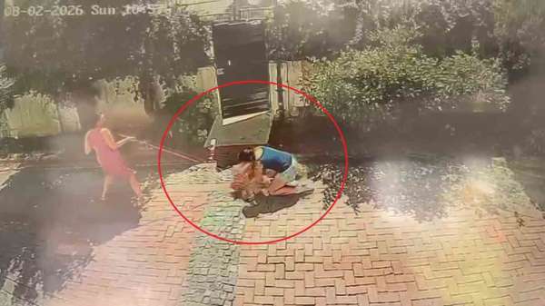 Samsun'da pitbull dehşeti: Küçük kızı yere savurdu, köpeğini ise ağır yaraladı