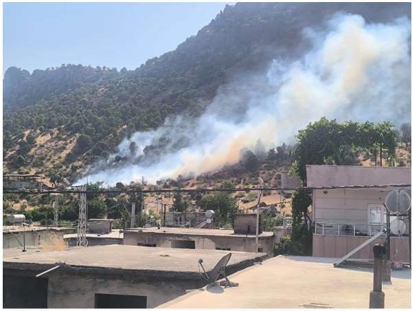 Siirt'te orman yangını büyümeden kontrol altına alındı