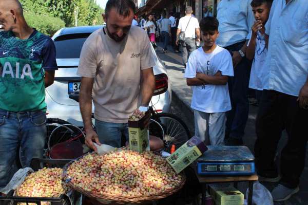 Siirt'in yeşil altını tezgahtaki yerini aldı