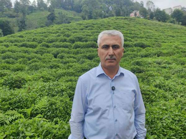 ÇAYÜDAD Başkanı Mustafa Mavi: 'Bazı özel fabrikaların 3. sürgünde çay almayacağı söyleniyor'