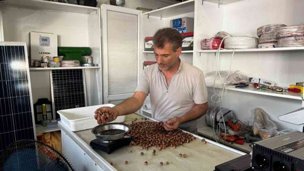 Rekolte düşüklüğü fındık fiyatlarını yükseltti