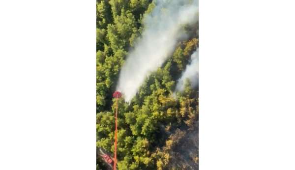 Manavgat'taki orman yangını kontrol altına alındı