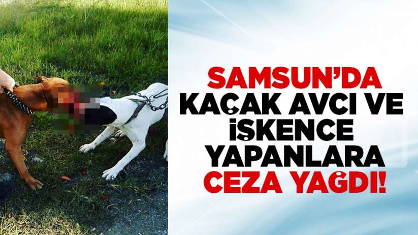 Samsun'da işkence yapanlara ve kaçak avcılara ceza yağdı