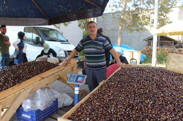 Sinop'ta kestane pazara indi
