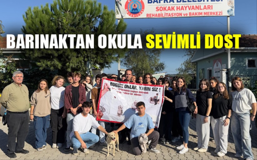 Barınaktan okula sevimli dost