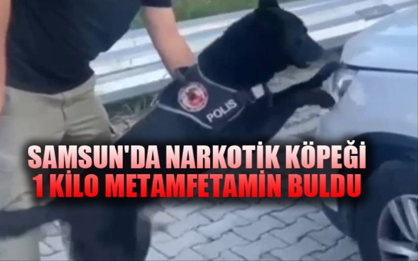 Samsun'da narkotik köpeği 1 kilo metamfetamin buldu