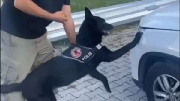 Samsun'da narkotik dedektör köpeği 1 kilo metamfetamini buldu