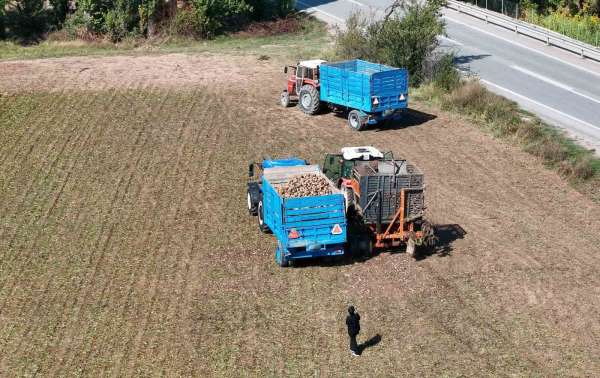 Erzincan'ın bereketli topraklarında pancar hasadı başladı