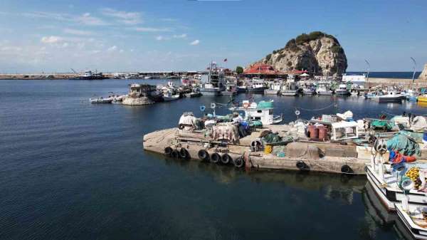 Şile'de bu yıl palamut avı beklenenin çok altında kaldı