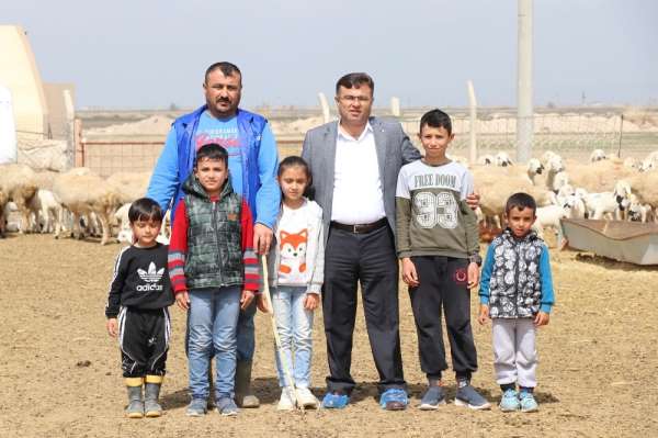 Hayvan üreticileri: 'Paramızı kaybedelim, insanlarımızı kaybetmeyelim' 