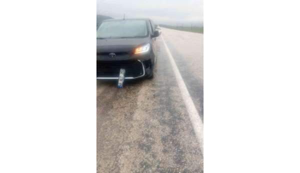 Köpeğe çarpan araç kaza yaptı: maddi hasar oluştu