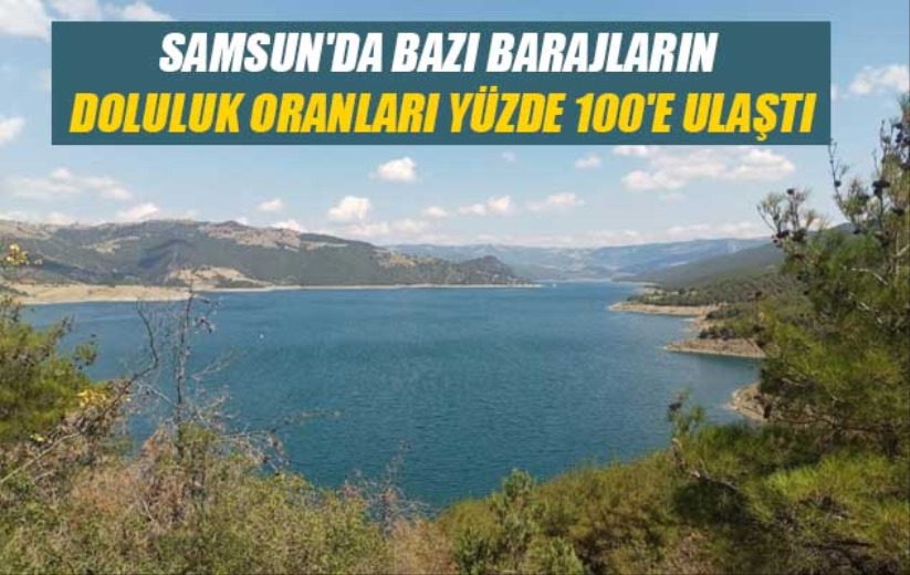 Samsun'da bazı barajların doluluk oranları yüzde 100'e ulaştı