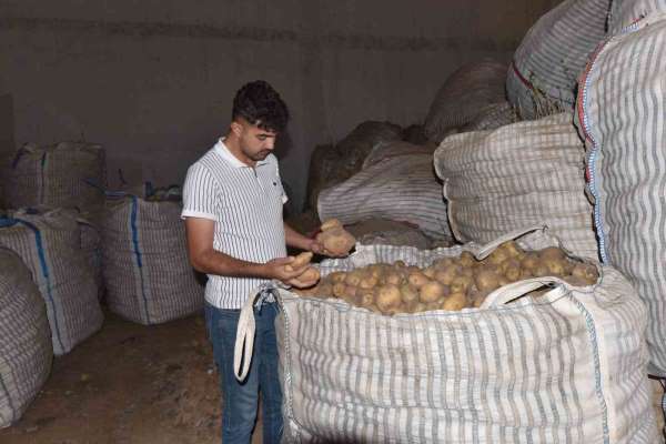 Ahlat'ta binlerce ton patates alıcı bekliyor