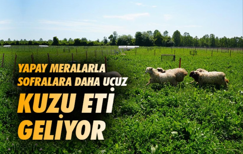 Yapay meralarla sofralara daha ucuz kuzu eti geliyor