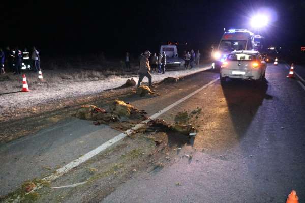 Yozgat'ta trafik kazası: 1 ölü, 2 yaralı