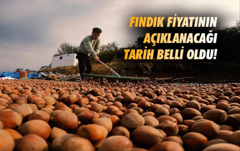 Fındık fiyatının açıklanacağı tarih belli oldu!