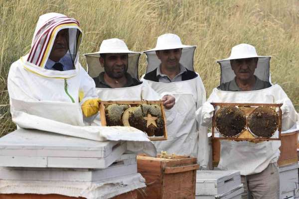 Bitlis Eren Üniversitesinde yüksek kaliteli bal hasadı başladı