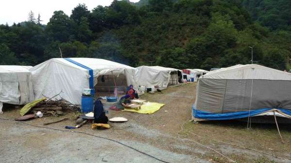 Mevsimlik tarım işçileri fındık hasadı için Ordu'da