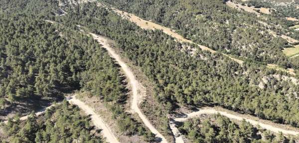 Orman köylülerine endüstriyel odundan 1 milyar TL'lik katkı