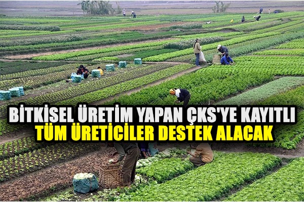 Bitkisel üretim yapan ÇKS'ye kayıtlı tüm üreticiler destek alacak