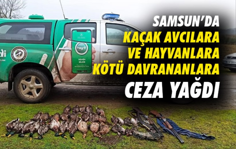 Samsun'da kaçak avcılara ve hayvanlara kötü davrananlara ceza yağdı