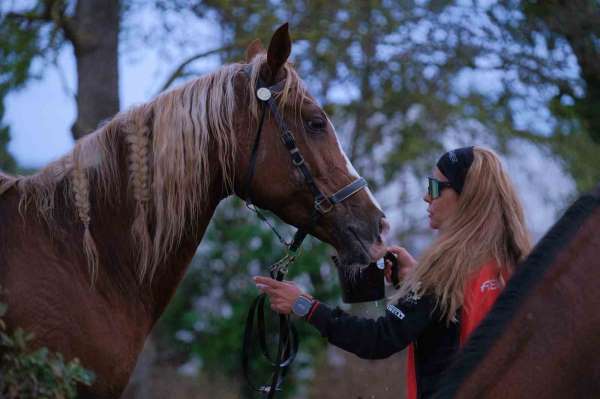 Kocaeli'de 117 binici dörtnala dayanıklılık sınavı verdi