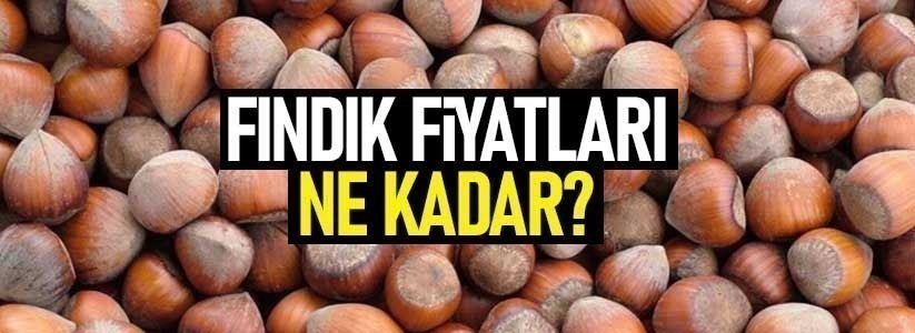 Fındık fiyatları 31 Ocak Pazar 