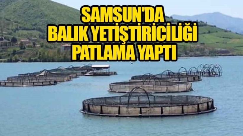 Samsun'da balık yetiştiriciliği ve üretimi patlama yaptı