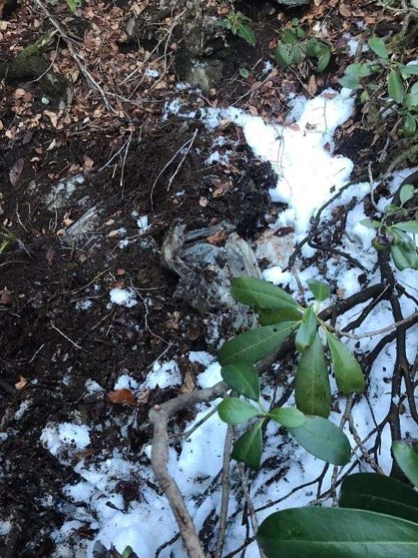 Giresun'da bölücü terör örgütüne ait erzak deposu bulundu 