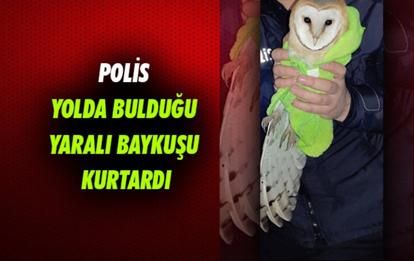 Samsun'da polis yolda bulduğu yaralı baykuşu kurtardı