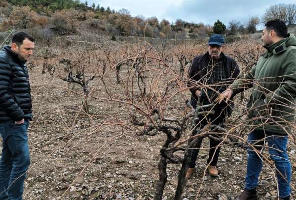 Emet'te pekmez evi ve üzüm bağlarında inceleme