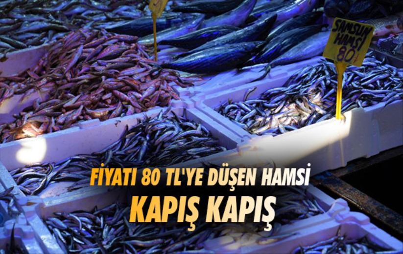 Samsun'da fiyatı 80 TL'ye düşen hamsi kapış kapış