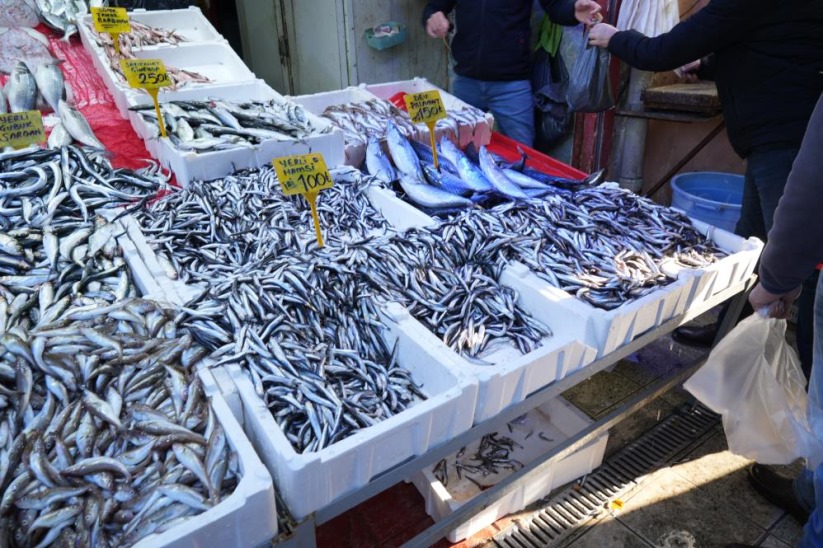 Samsun'da fiyatı 80 TL'ye düşen hamsi kapış kapış