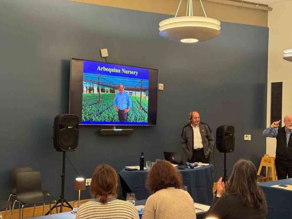 Türk zeytinyağına ABD'de büyük ilgi
