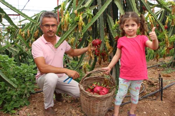 Denemek için ekti vazgeçemiyor 