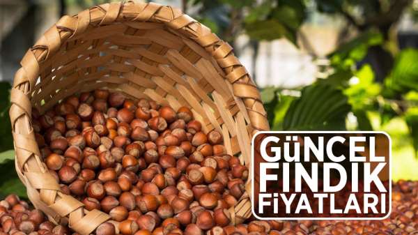 Fındık fiyatları son durum! 31 Temmuz Çarşamba