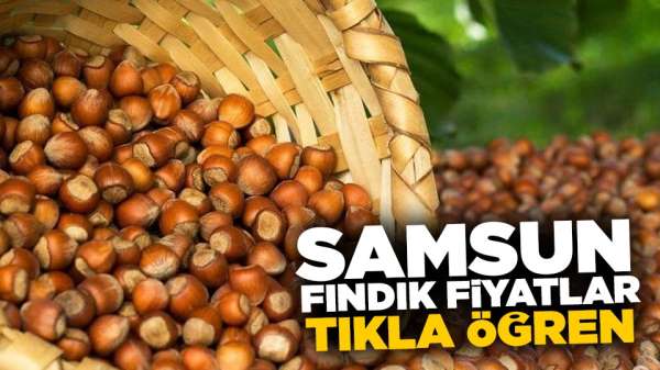 Bu gün fındık fiyatlar ne kadar? 31 Ağustos Cumartesi fındık fiyatları