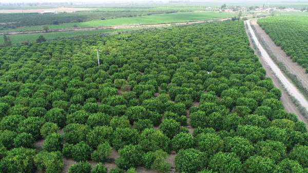 TARSİM'den çiftçilere 5,4 milyar TL ödeme 