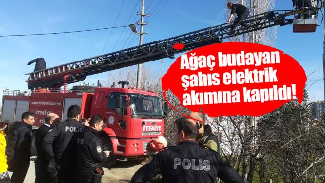 Ağaç budayan şahıs elektrik akımına kapıldı!