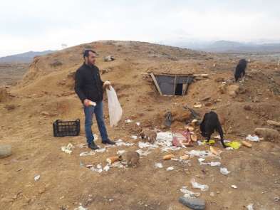 Sokak köpeklerini eski çöplük alanında ölüme terk ettiler 