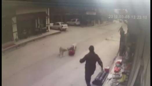 Köpeklerin saldırısına uğrayan çocuğu esnaf kurtardı