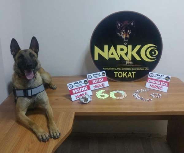 Tokat'ta uyuşturucu operasyonu: 2 tutuklama 