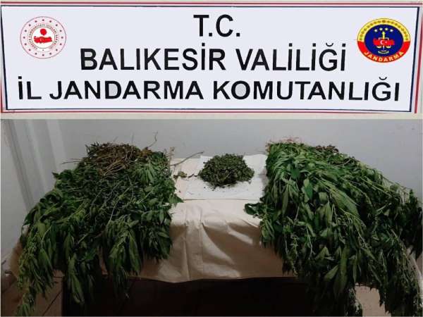 Balıkesir'de jandarmadan uyuşturucu operasyonu 