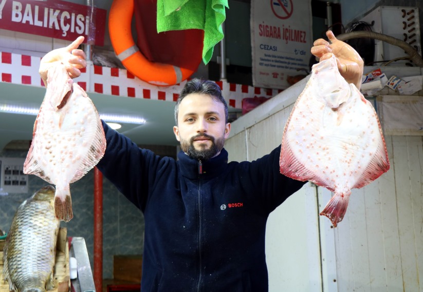 Samsun'da fiyatlar düşünce balığa ilgi azaldı