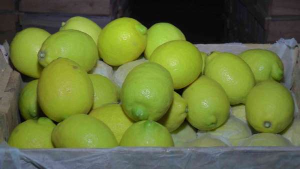 Kapadokya, Akdeniz bölgesinde yetiştirilen limona 'yataklık' ediyor - Nevşehir haber